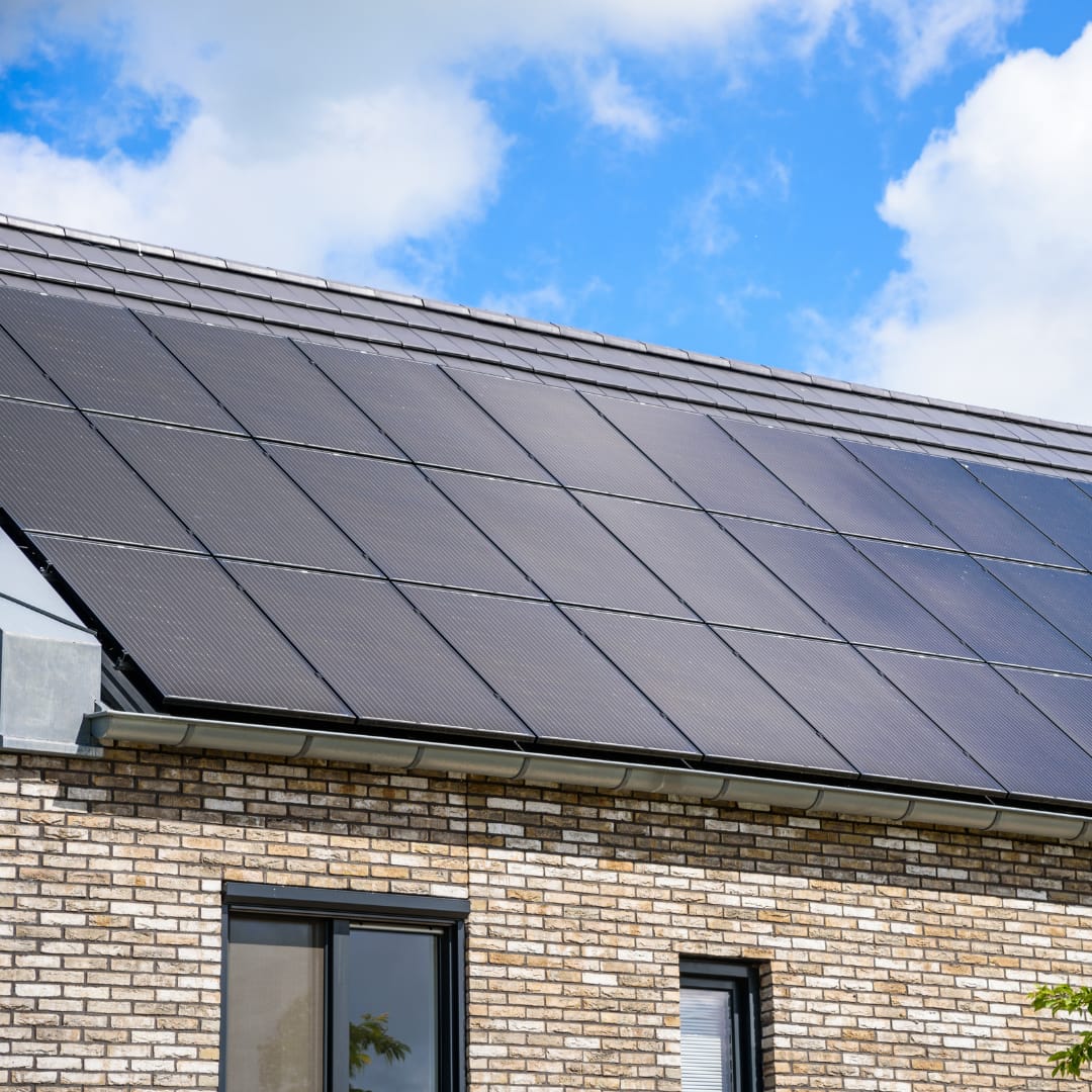 solar panels