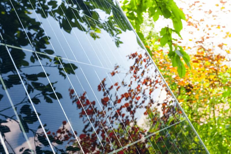Close up of solar panel next to trees